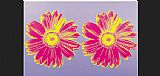 Daisy Double Pink by Andy Warhol